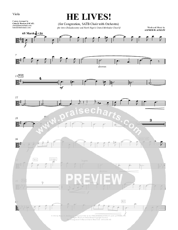 He Lives Viola (Chris Hansen)