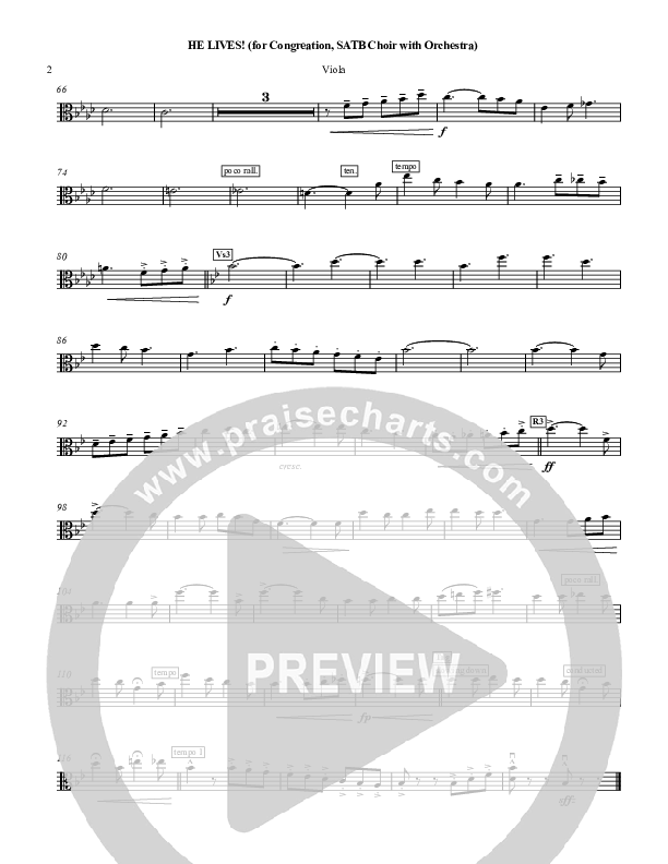 He Lives Viola (Chris Hansen)