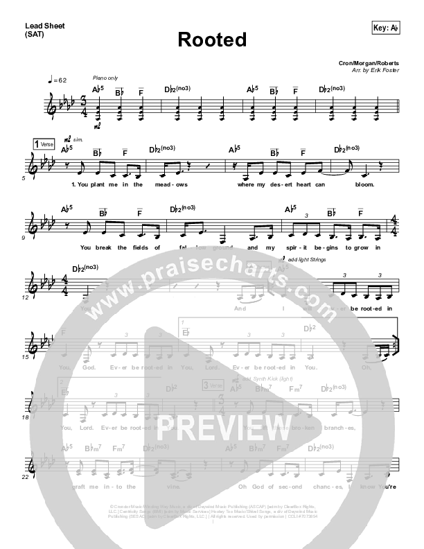 Rooted Lead Sheet (Kerrie Roberts)