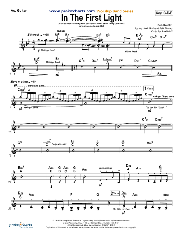 In The First Light Acoustic Guitar (Travis Cottrell)