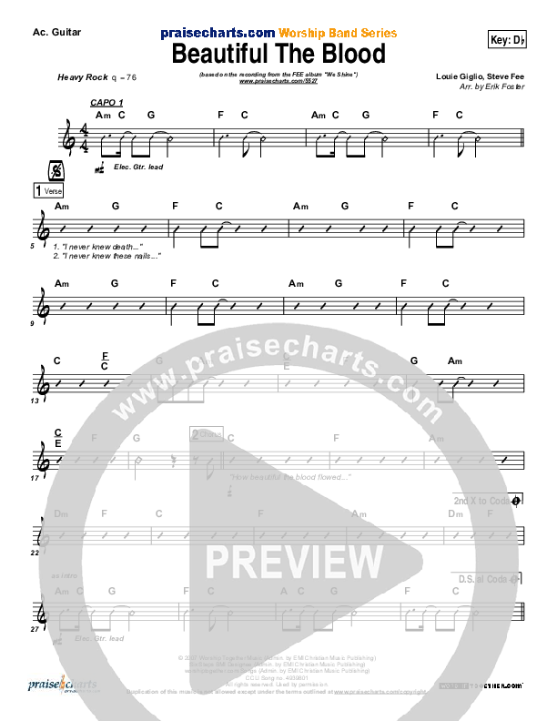 Beautiful The Blood Acoustic Guitar (FEE Band)