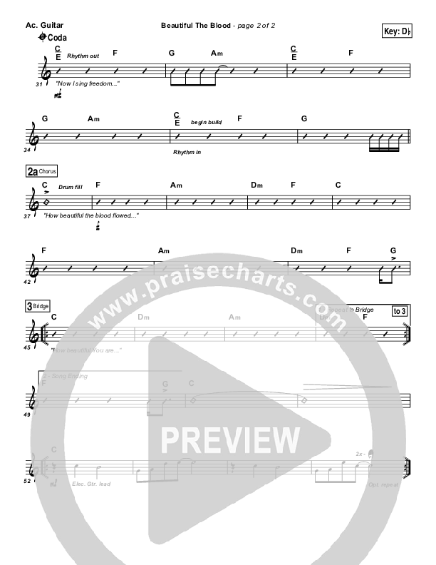 Beautiful The Blood Acoustic Guitar (FEE Band)