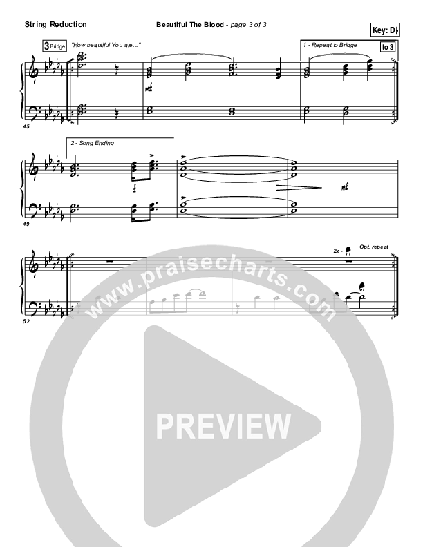 Beautiful The Blood Synth Strings (FEE Band)