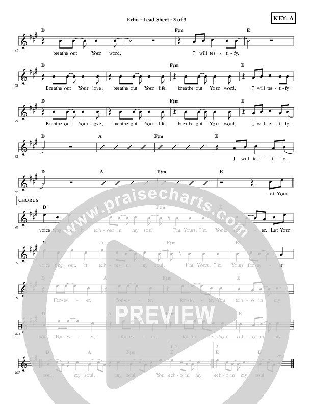 Echo Lead Sheet (First Worship)