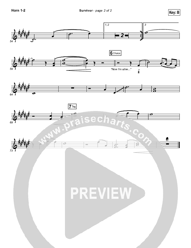 Survivor Brass Pack (Zach Williams)