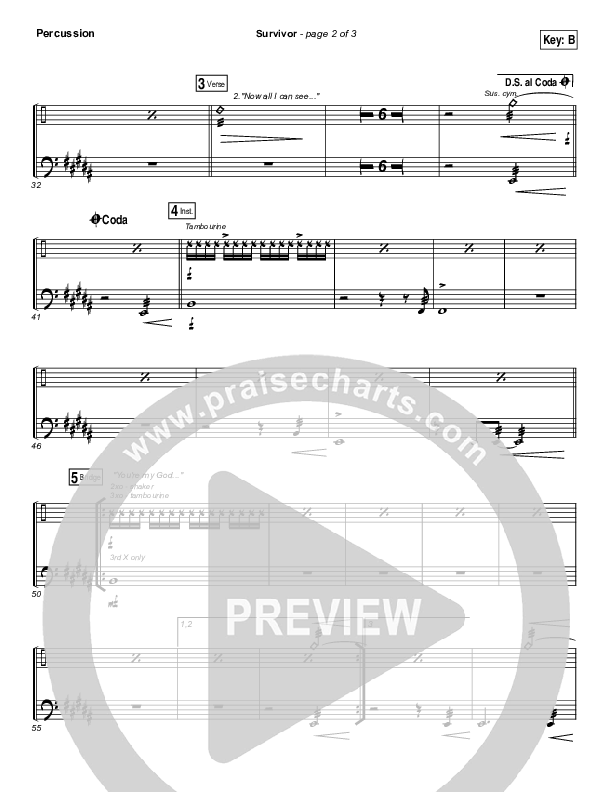 Survivor Percussion (Zach Williams)