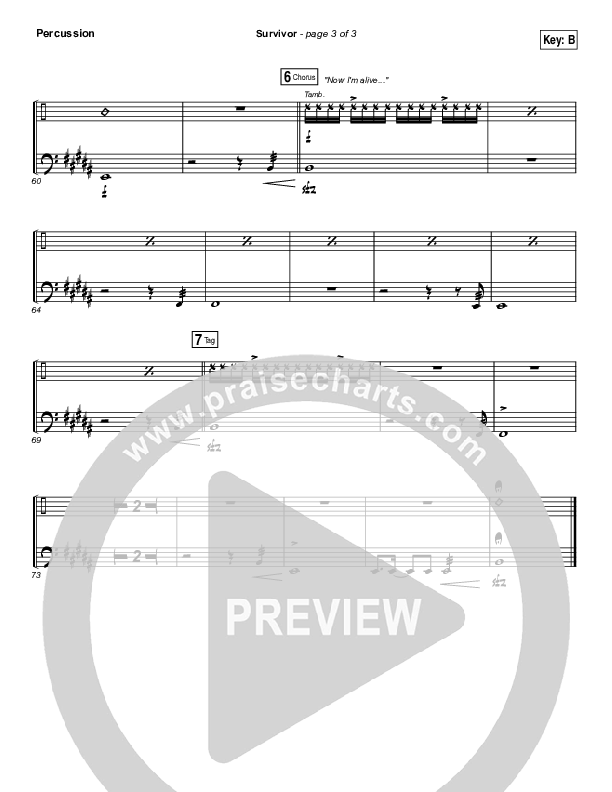 Survivor Percussion (Zach Williams)