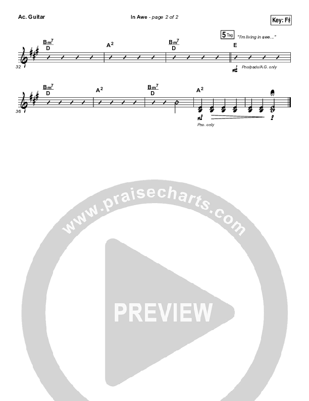 In Awe Acoustic Guitar (Hollyn)