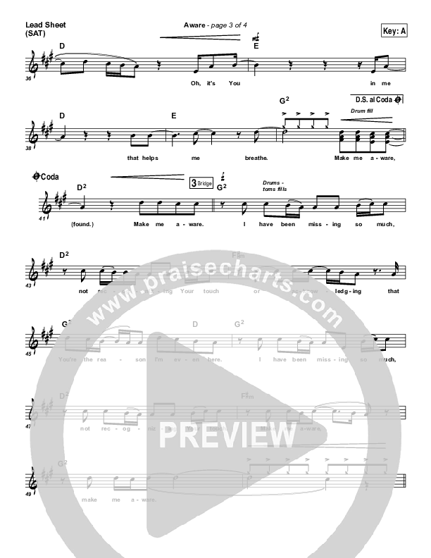 Aware Lead Sheet (Salvador)