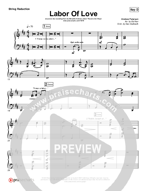 Labor Of Love Synth Strings (Meredith Andrews)