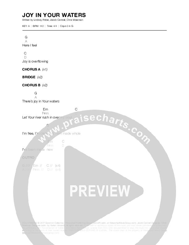 Joy In Your Waters Chords & Lyrics (Lindsay Potter)
