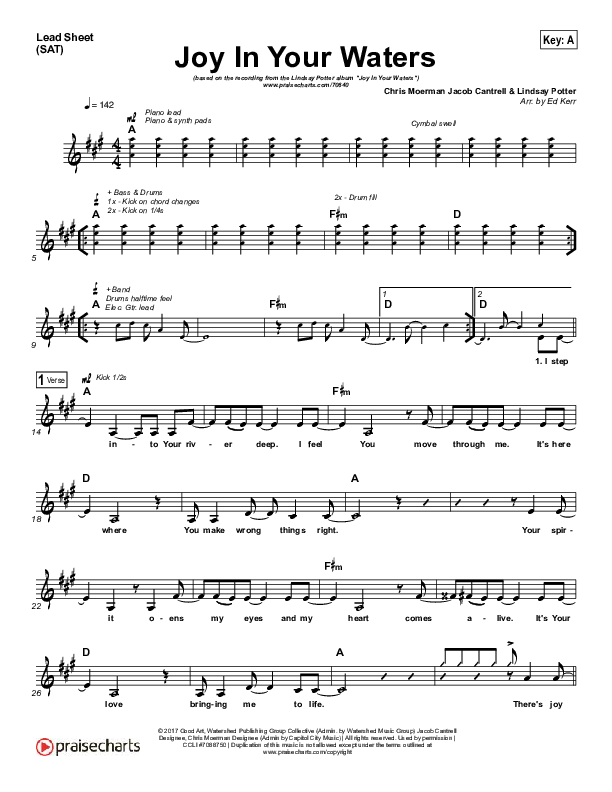 Joy In Your Waters Lead Sheet (SAT) (Lindsay Potter)