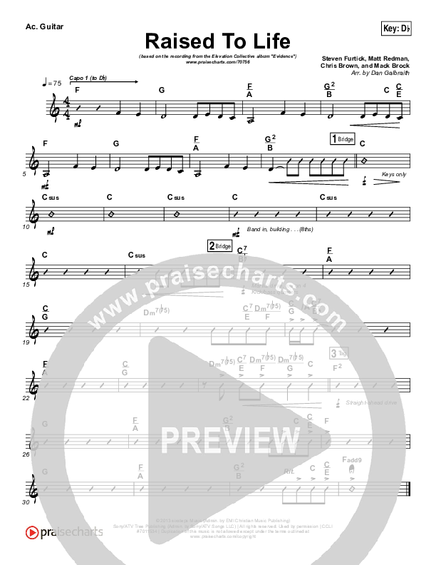 Raised To Life Acoustic Guitar (Elevation Collective / The Walls Group)