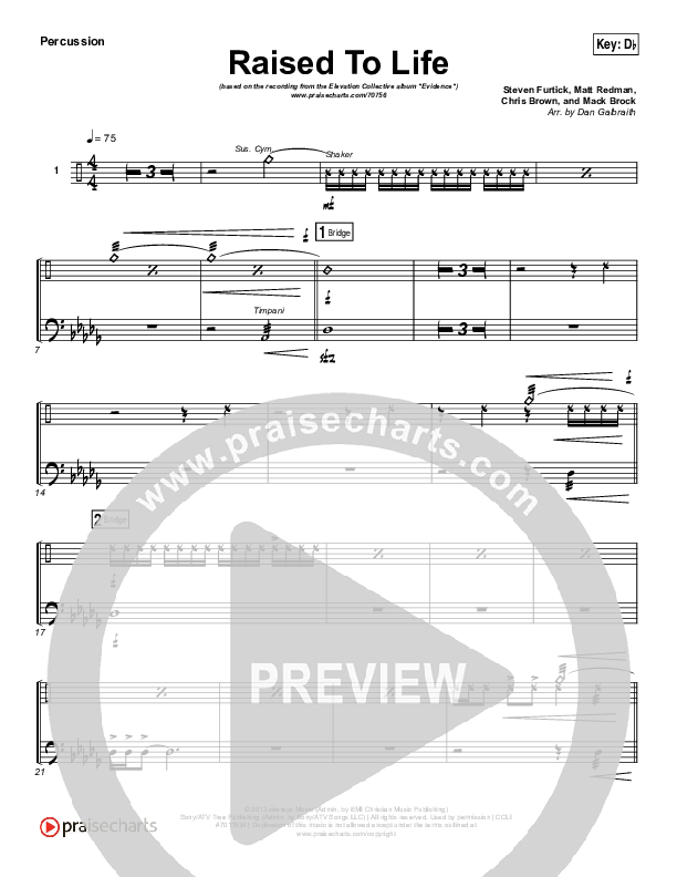 Raised To Life Percussion (Elevation Collective / The Walls Group)