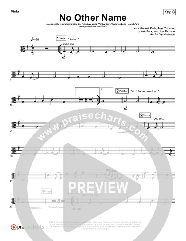 No Other Name Viola (Laura Hackett Park)