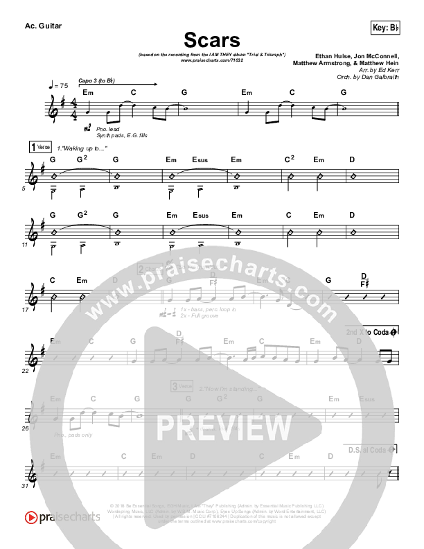 Scars Acoustic Guitar (I Am They)