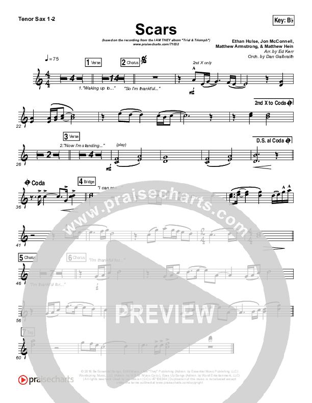 Scars Tenor Sax 1/2 (I Am They)