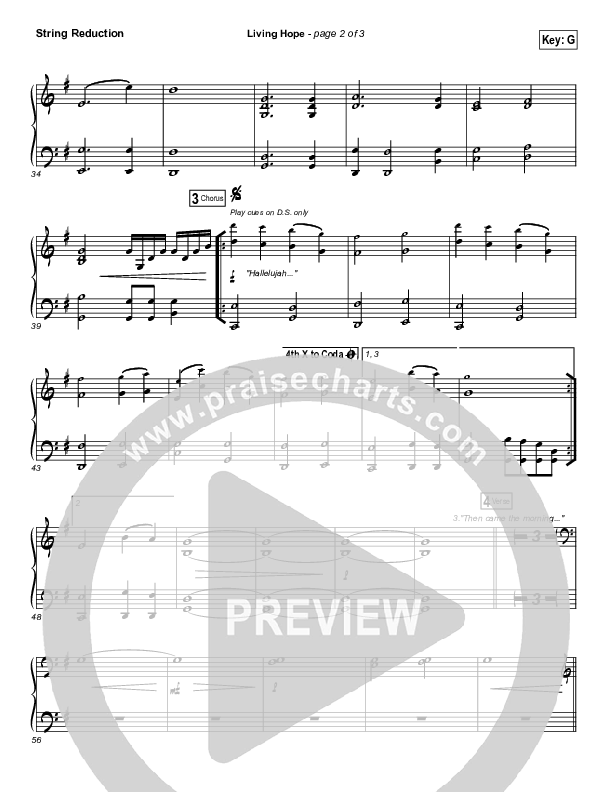 Living Hope String Reduction (Cross Point Music / Cheryl Stark)