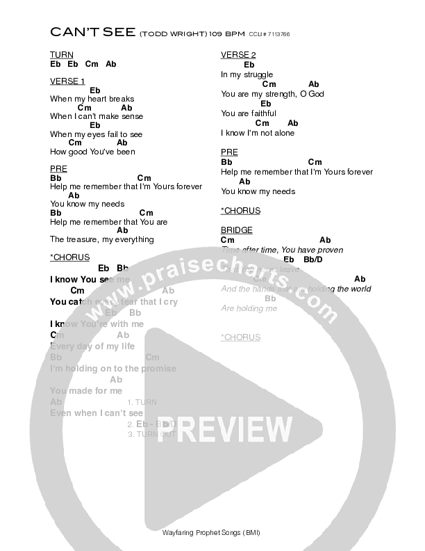 Can't See Chords & Lyrics (Todd Wright Band)