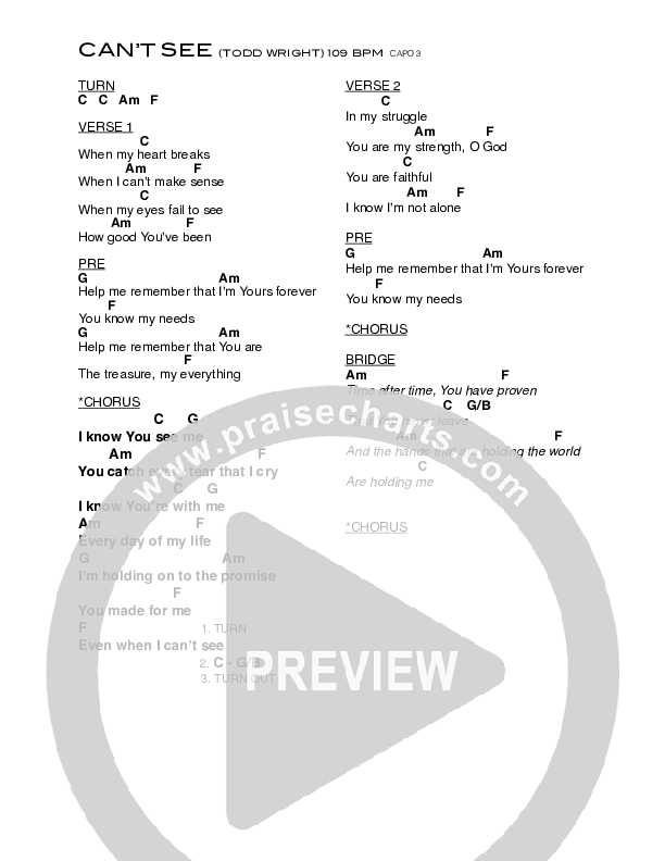 Can't See Chords & Lyrics (Todd Wright Band)