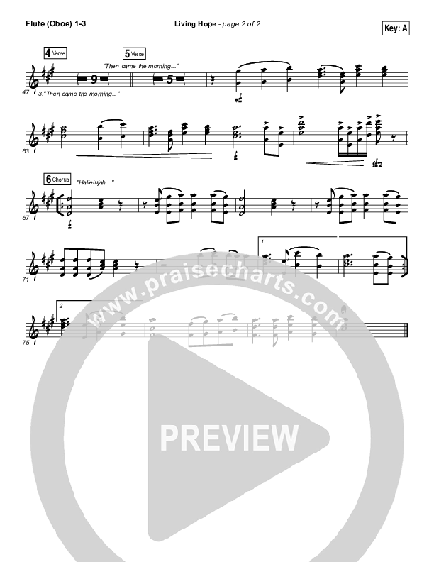 Living Hope Wind Pack (Bethel Music / Bethany Wohrle)