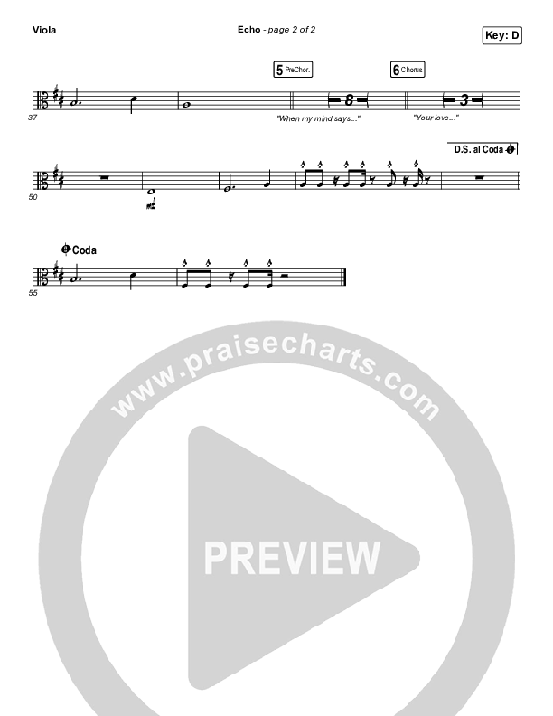 Echo Viola (Elevation Worship / Tauren Wells)