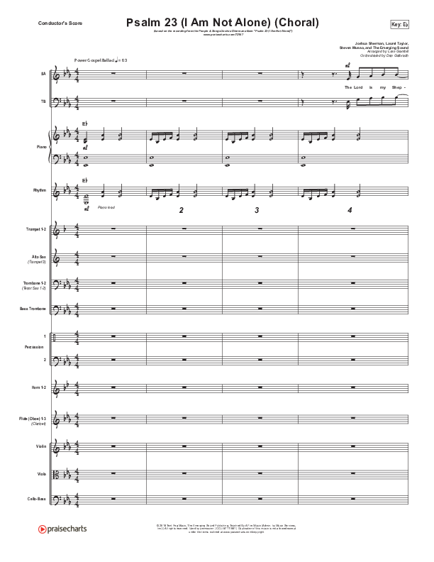 Psalm 23 (I Am Not Alone) (Choral Anthem SATB) Orchestration (People & Songs / Arr. Luke Gambill)