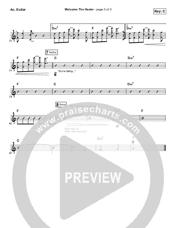 Welcome The Healer Acoustic Guitar (Passion / Sean Curran)