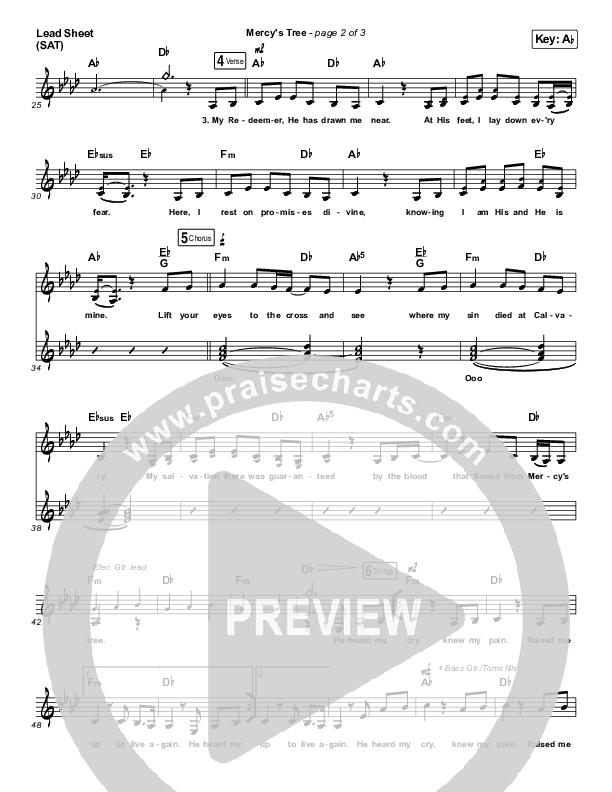 Mercy's Tree Lead Sheet (SAT) (Firma Collective / Lexi Jones)