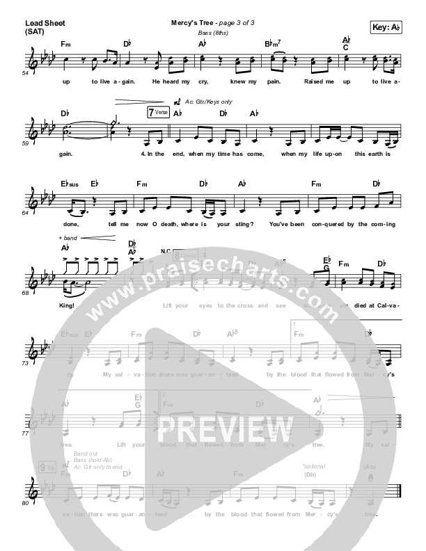 Mercy's Tree Lead Sheet (SAT) (Firma Collective / Lexi Jones)
