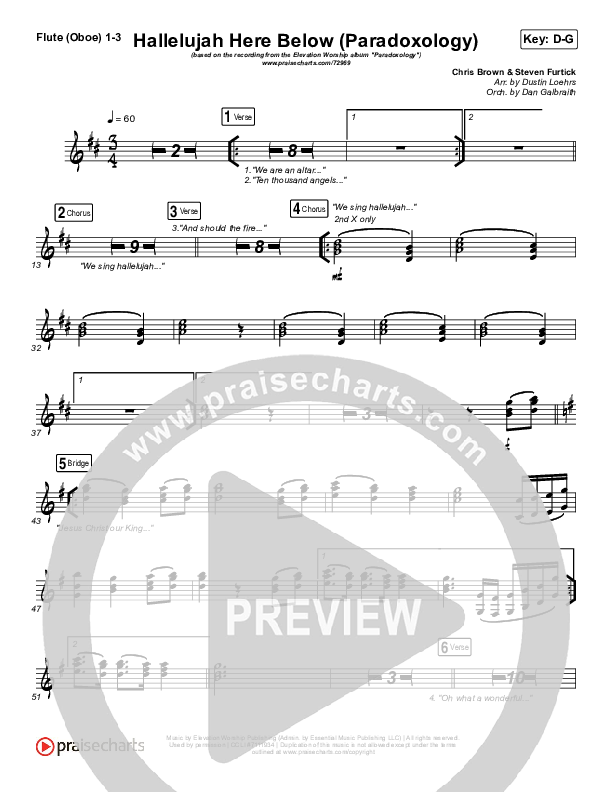 Hallelujah Here Below (Paradoxology) Wind Pack (Elevation Worship / Steffany Gretzinger)