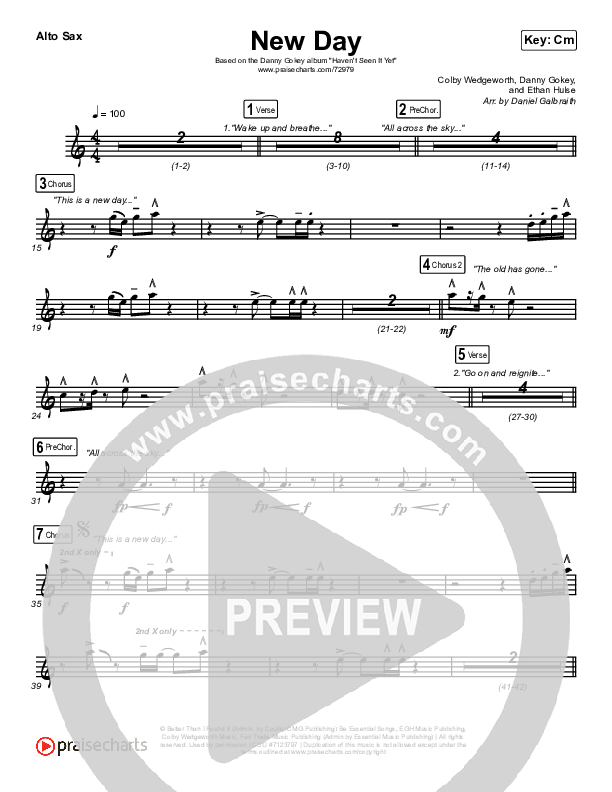 New Day Alto Sax (Danny Gokey)