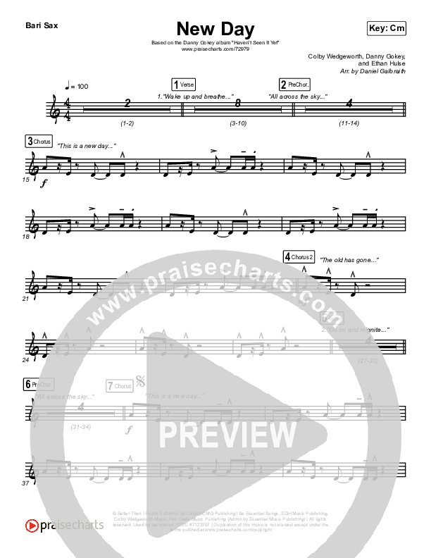 New Day Bari Sax (Danny Gokey)