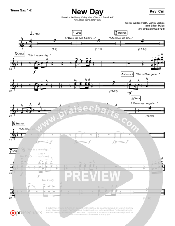 New Day Tenor Sax 1/2 (Danny Gokey)