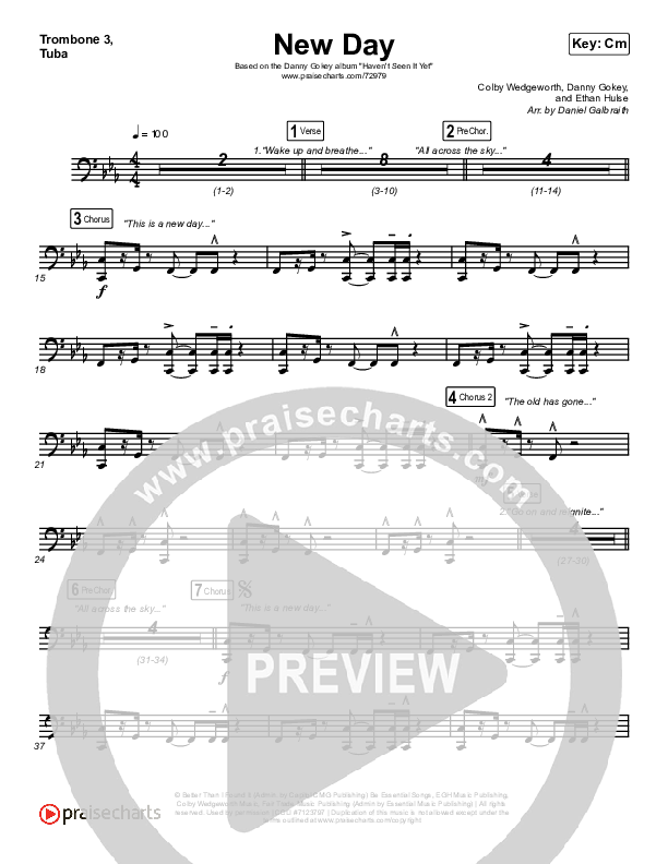 New Day Trombone 3/Tuba (Danny Gokey)