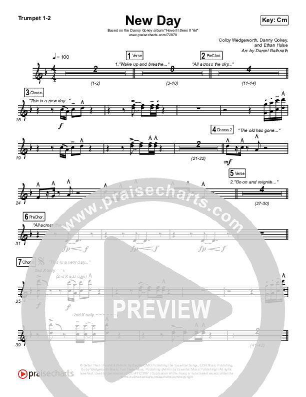 New Day Trumpet 1,2 (Danny Gokey)