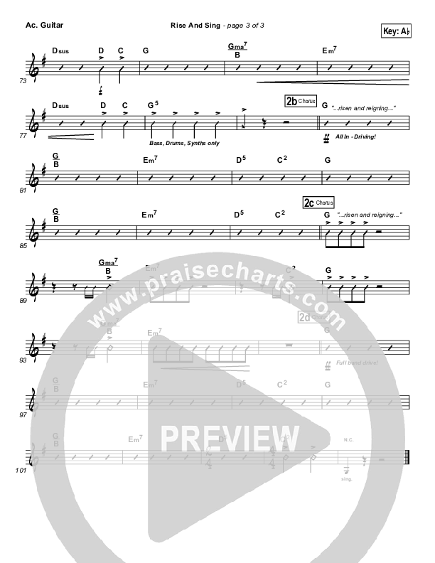 Rise And Sing Acoustic Guitar (FEE Band)