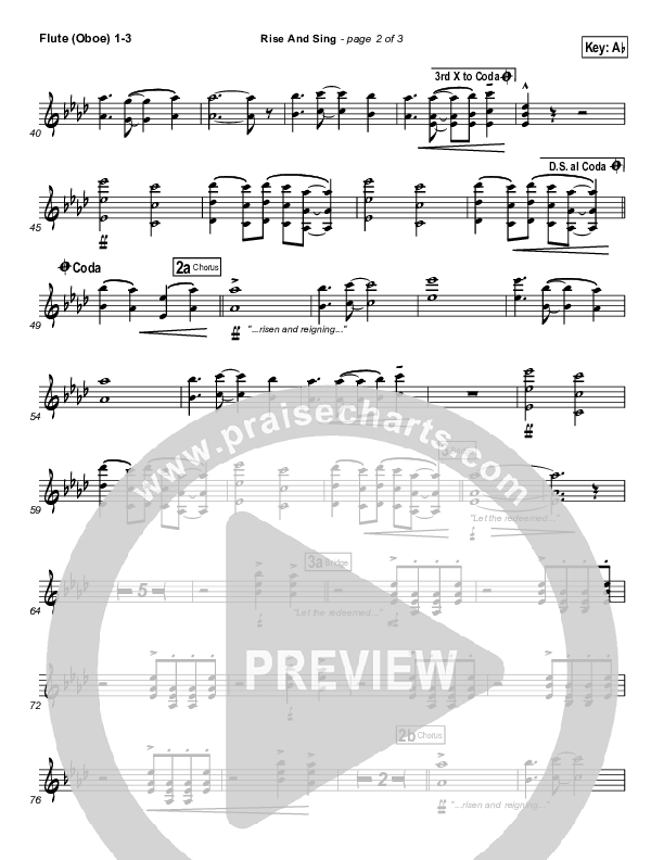 Rise And Sing Flute/Oboe 1/2/3 (FEE Band)