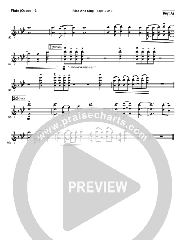 Rise And Sing Flute/Oboe 1/2/3 (FEE Band)