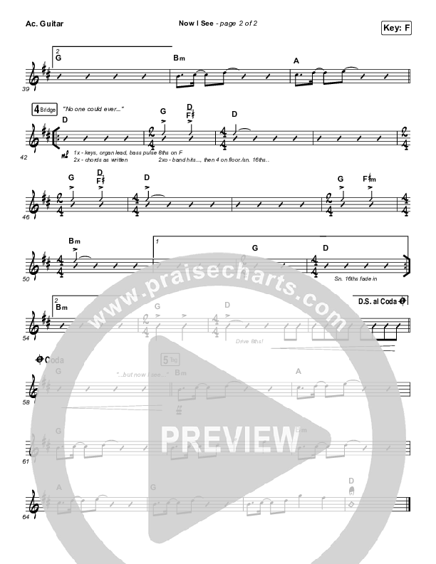 Now I See Acoustic Guitar (Paul McClure / Hannah McClure / The McClures)