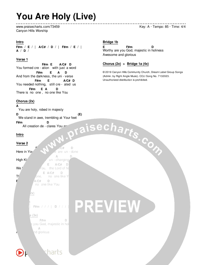 You Are Holy (Live) Chords & Lyrics (Canyon Hills Worship)
