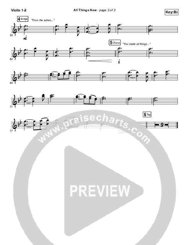 All Things New Violin 1/2 (Big Daddy Weave)