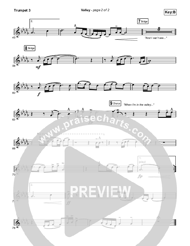 Valley Trumpet 3 (Chris McClarney)