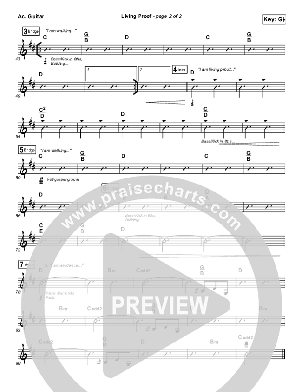 Living Proof Acoustic Guitar (David & Nicole Binion / Steffany Gretzinger)