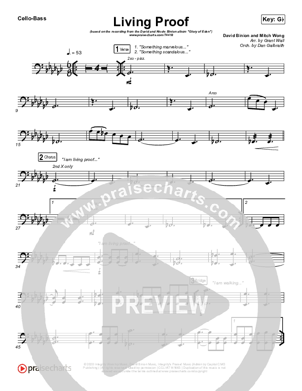 Living Proof Cello/Bass (David & Nicole Binion / Steffany Gretzinger)