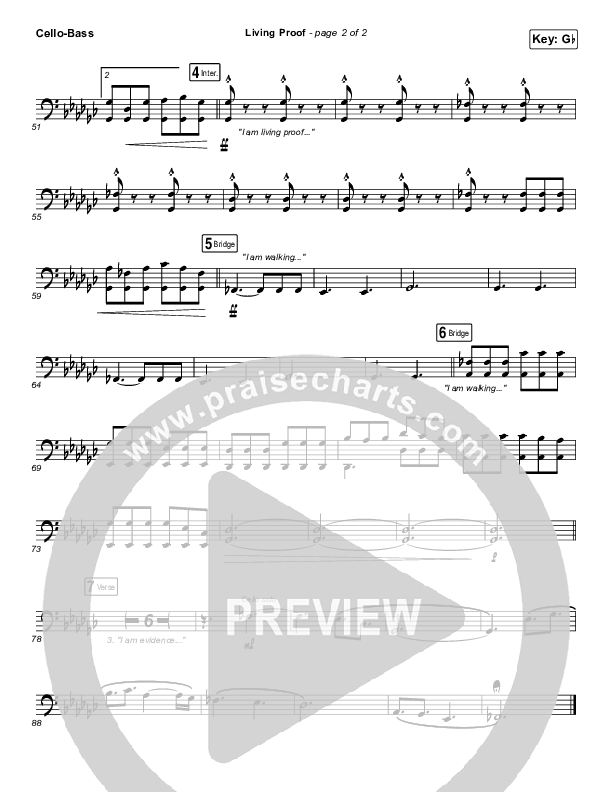 Living Proof Cello/Bass (David & Nicole Binion / Steffany Gretzinger)