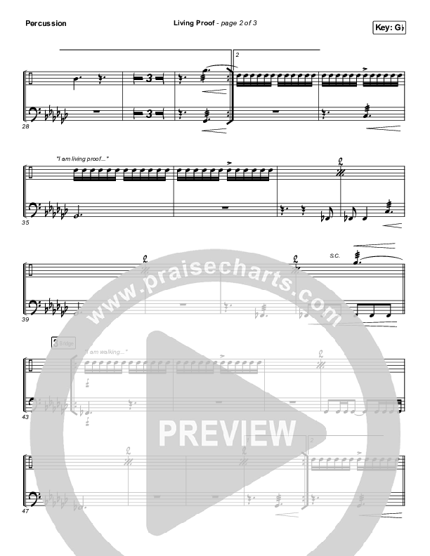 Living Proof Percussion (David & Nicole Binion / Steffany Gretzinger)