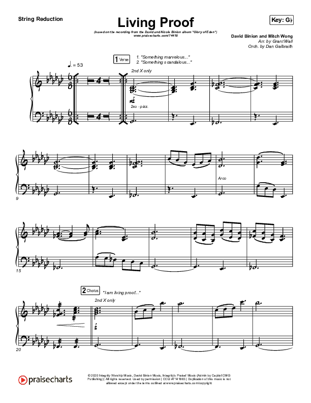 Living Proof Synth Strings (David & Nicole Binion / Steffany Gretzinger)