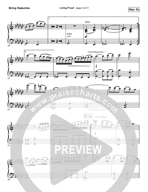 Living Proof Synth Strings (David & Nicole Binion / Steffany Gretzinger)