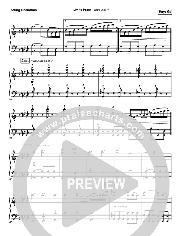 Living Proof Synth Strings (David & Nicole Binion / Steffany Gretzinger)